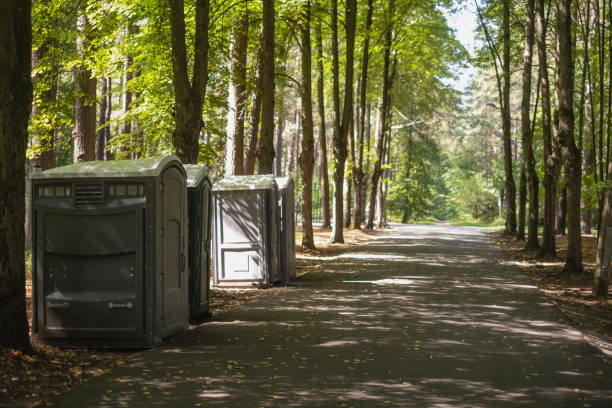 Best Best portable toilet rental  in Cairo, IL